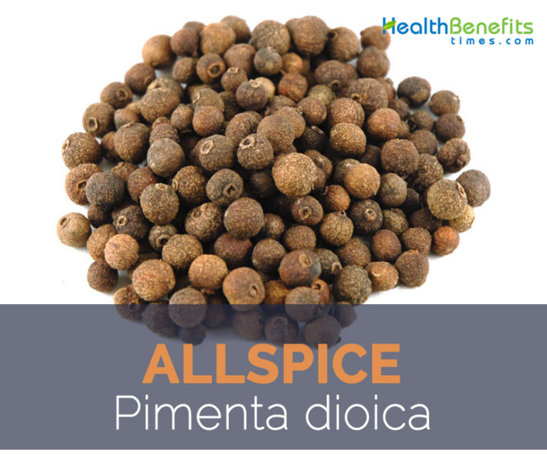 Allspice facts and health benefits