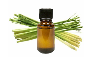 Health Benefits of Lemongrass Essential Oil