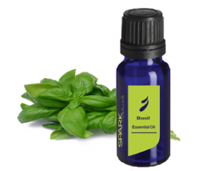 Health benefits of Basil Essential Oil