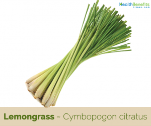 Health benefits of Lemongrass
