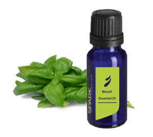 health benefits of basil essential oil