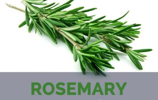 Rosemary facts and health benefits