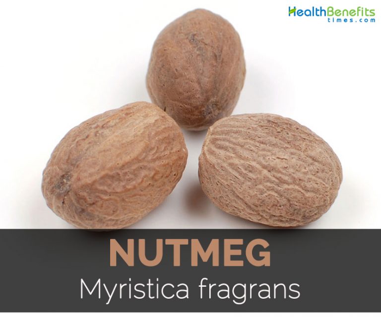 Nutmeg Facts, Health Benefits and Nutritional Value