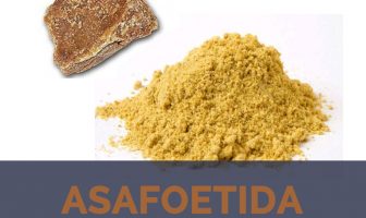 Asafoetida facts and health benefits