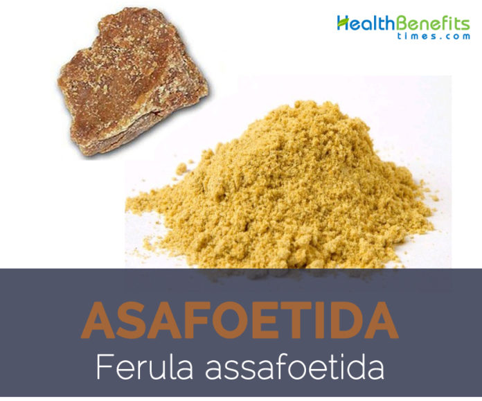 Asafoetida facts and health benefits