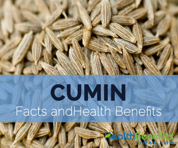 Cumin Facts, Health Benefits and Nutritional Value