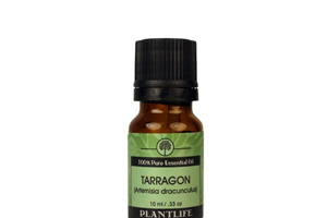 Health Benefits of Tarragon Essential Oil