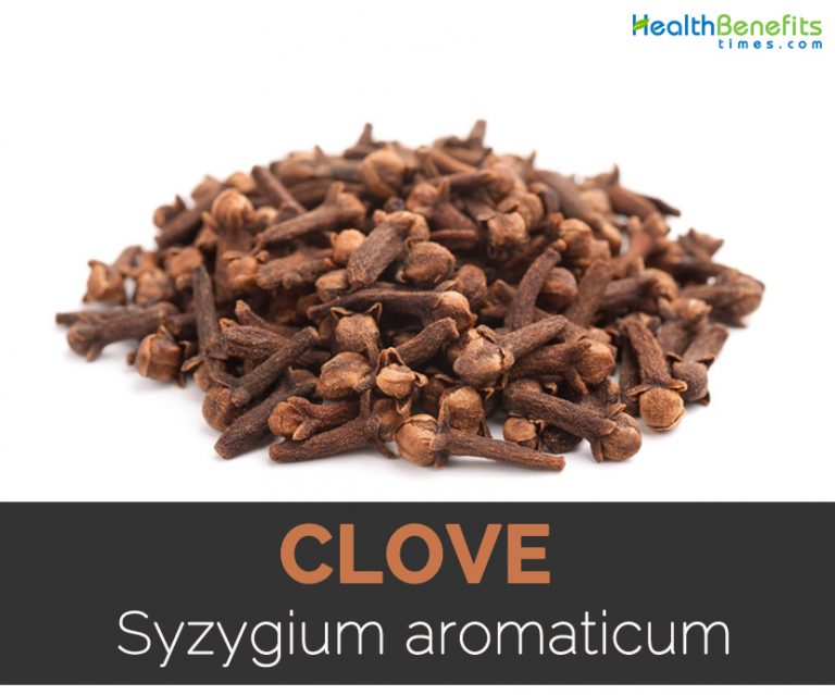 Clove Facts, Health Benefits and Nutritional Value