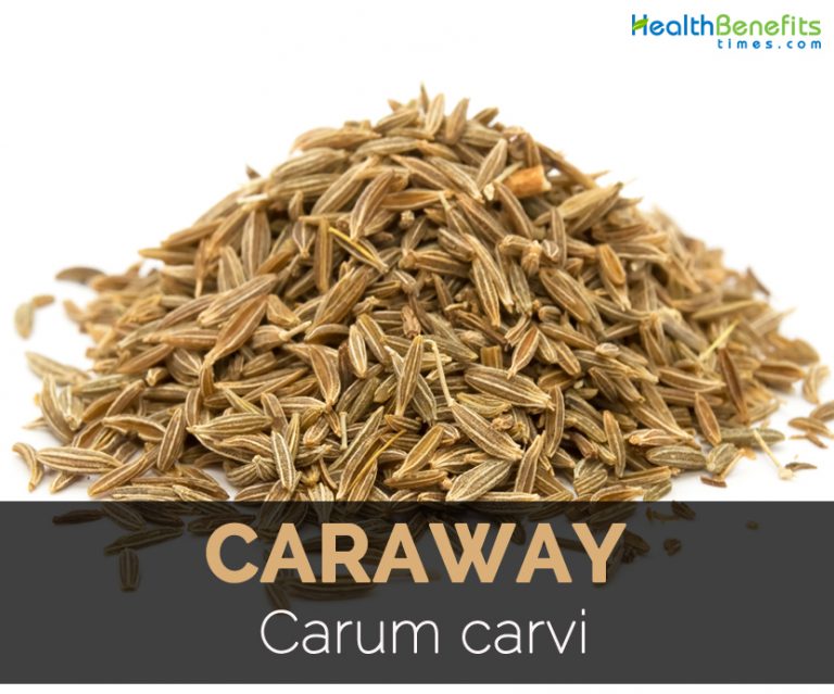 Caraway Facts, Health Benefits and Nutritional Value