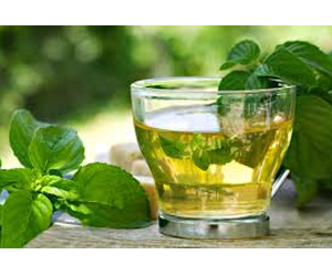 Health benefits of Boldo Tea