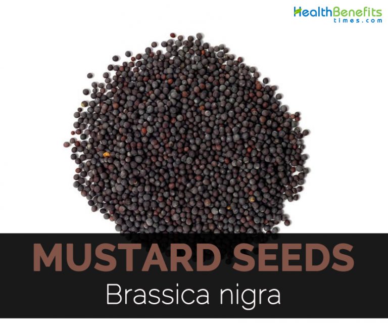Mustard seeds Facts, Health Benefits & Nutritional Value