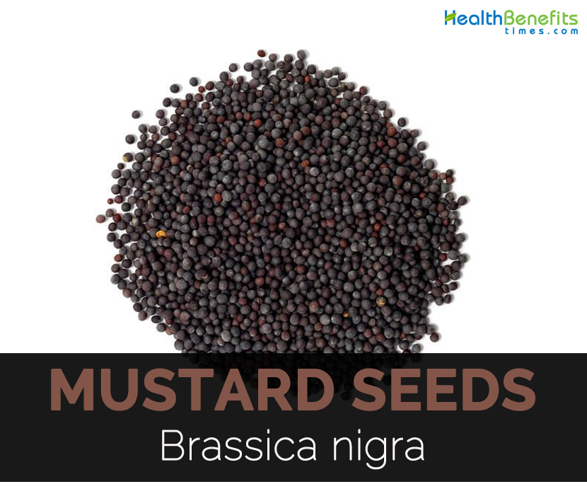 What Are Mustard Seeds Called In Urdu At Abel Roque Blog What Are Mustard Seeds Called In Urdu At Abel Roque Blog