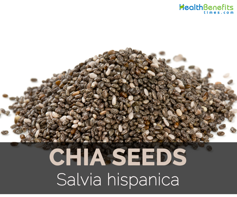 chia-seeds-salvia-hispanica