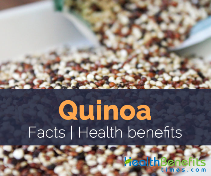 Quinoa Facts, Health Benefits and Nutritional Value