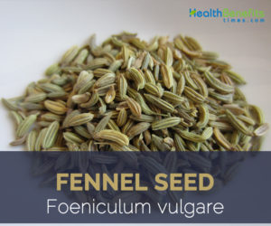 Fennel Seed health benefits