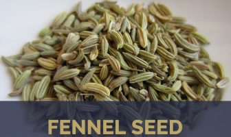 Fennel Seed health benefits
