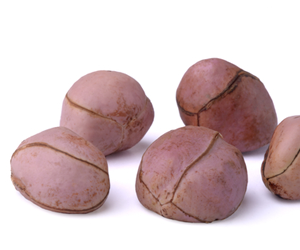 Health Benefits of Kola Nut