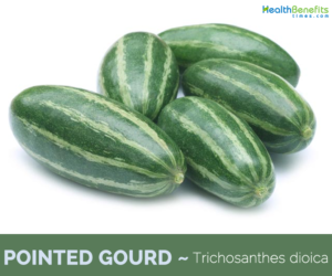 Health-benfits-of-Pointed-gourd