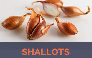 Shallot facts and health benefits