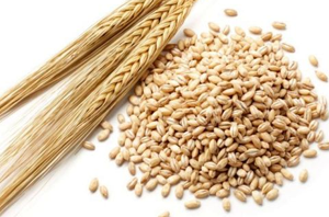 Health Benefits of Barley