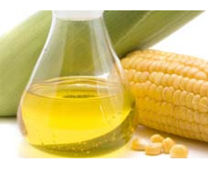 Health Benefits of Corn Oil