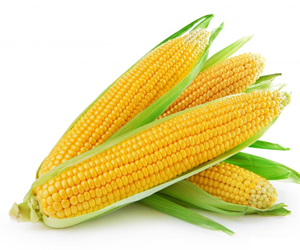 Health benefits of Corn