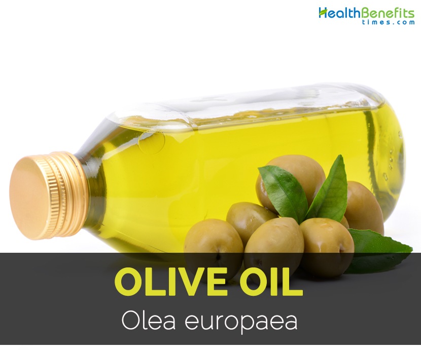 Оливковое масло для желудка. Olea europaea Olive Fruit Oil. Olea Oil. Benefits of Olive Oil. Olea europaea Fruit Oil.