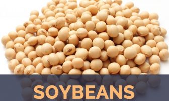 Soybean facts and health benefits