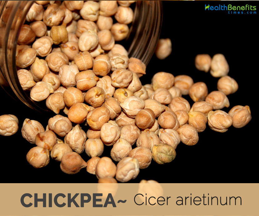 17 Top health benefits of Chickpeas | HB times