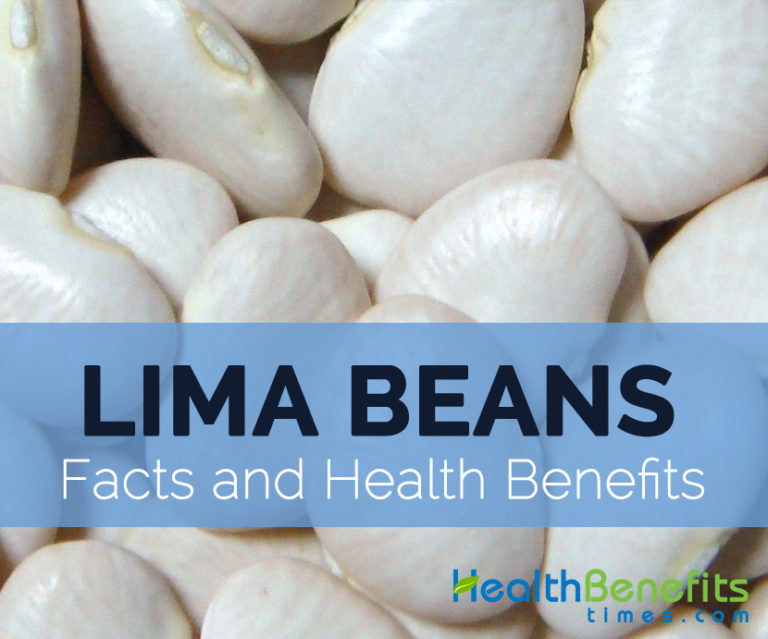 Lima Bean Facts, Health Benefits and Nutritional Value