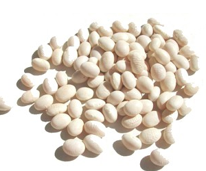 Health benefits of Navy Beans