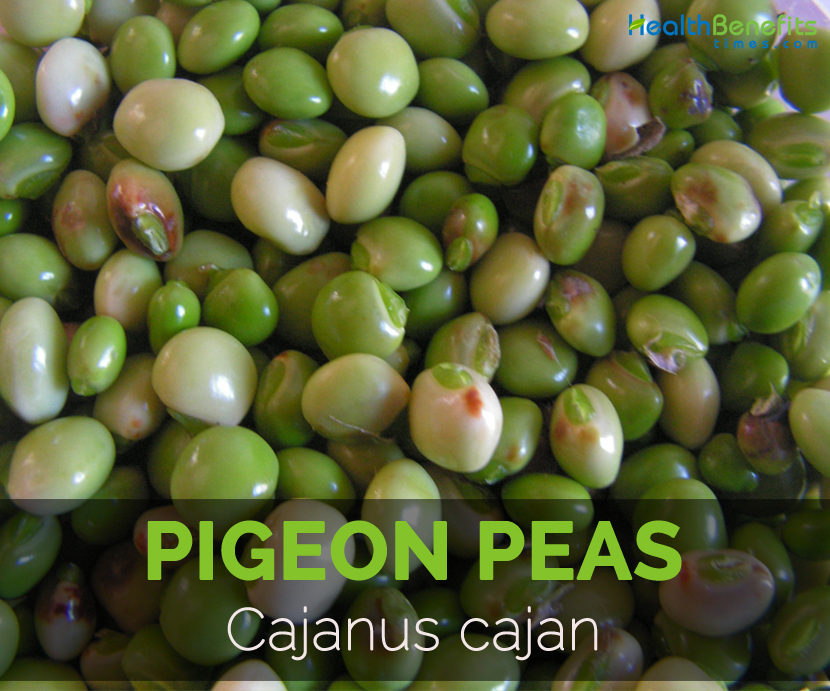 Pigeon-peas---Cajanus-cajan