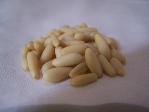 European stone pine nuts