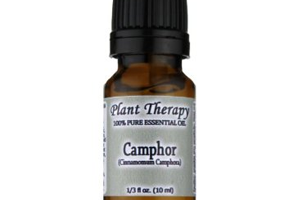 Health Benefits of Camphor Essential Oil