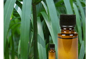 Health Benefits of Cypriol Essential Oil