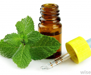 Health Benefits of Peppermint Oil