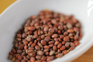 Health Benefits of Radish Seeds