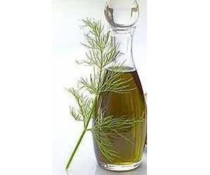 Health benefits of Dill Seed Oil