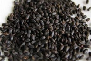 Health benefits of Holy Basil Seeds