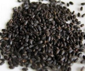 Health benefits of Holy Basil Seeds