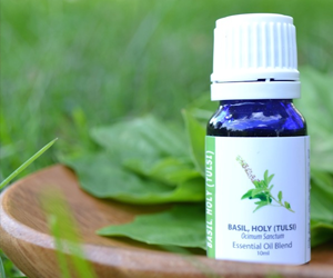 Health benefits of Tulsi (Basil) Essential Oil