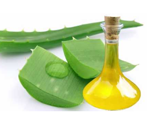 Health benefits of Aloe vera oil