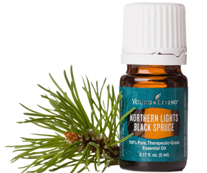 Health Benefits of Black Spruce Essential Oil