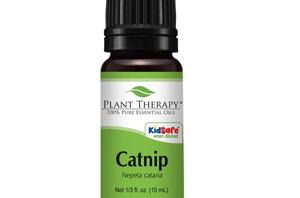 Health Benefits of Catnip Essential Oil