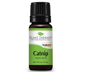 Health Benefits of Catnip Essential Oil