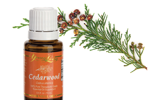 Health Benefits of Cedarwood Essential Oil