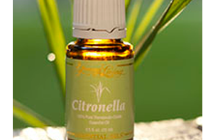 Health Benefits of Citronella Essential Oil