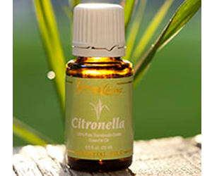 Health Benefits of Citronella Essential Oil