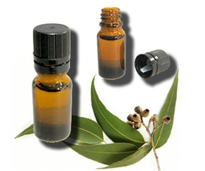 Health Benefits of Eucalyptus Essential Oil
