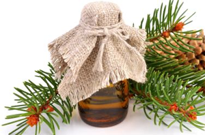 Health Benefits of Fir Needle Essential Oil